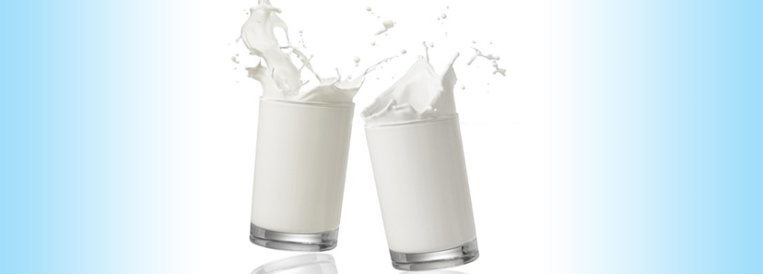 Milk and osteoarthritis