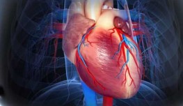 Iron-Deficiency Anemia