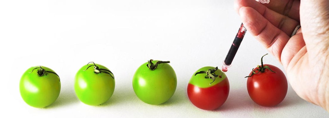 Foods Derived from Genetically Engineered Plants