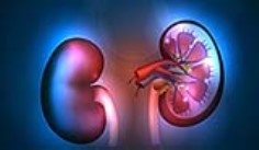 WORLD KIDNEY DAY, 11 MARCH 2021